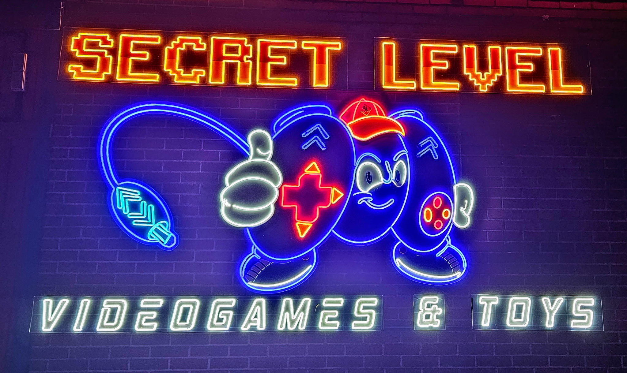 Secret Level Neon Sign